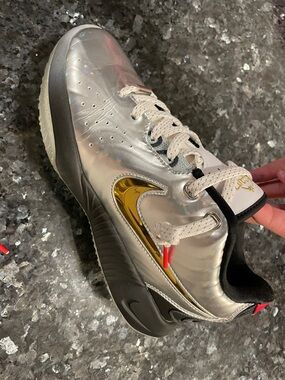 LeBron James holographic